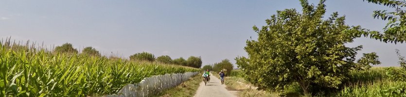 en bici hacia Dazkiri