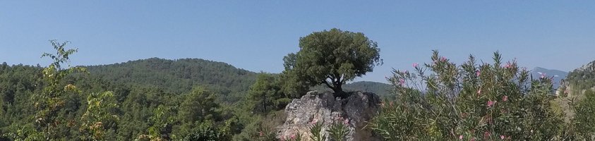 en bicicleta hacia Karacaoren