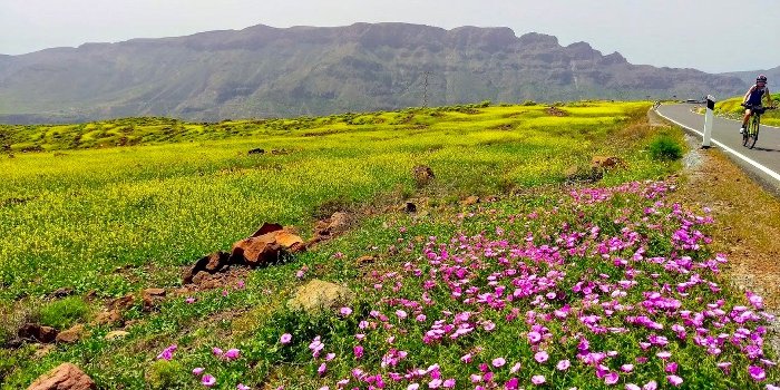 Foto camino de Temisas