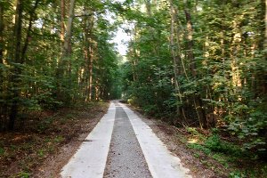 Foto carril bici del Elba
