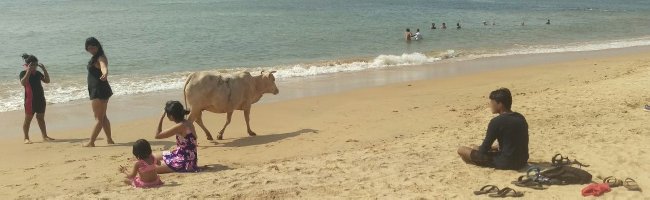 Foto de Anjuna Beach